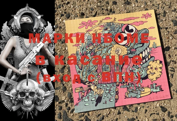 прущие грибы Белоозёрский