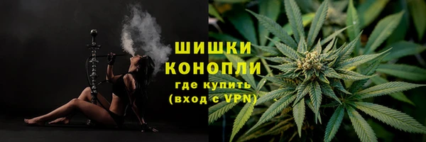 прущие грибы Белоозёрский