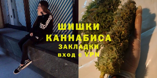 прущие грибы Белоозёрский
