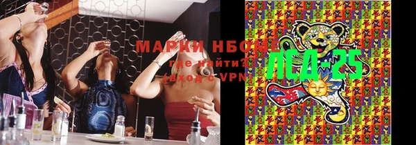 прущие грибы Белоозёрский