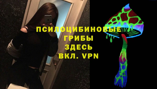 прущие грибы Белоозёрский