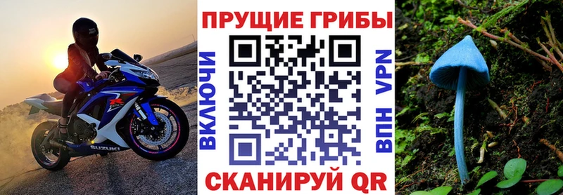 даркнет сайт  Гаджиево  Псилоцибиновые грибы Cubensis 
